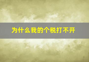 为什么我的个税打不开