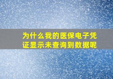 为什么我的医保电子凭证显示未查询到数据呢