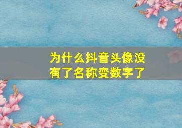 为什么抖音头像没有了名称变数字了