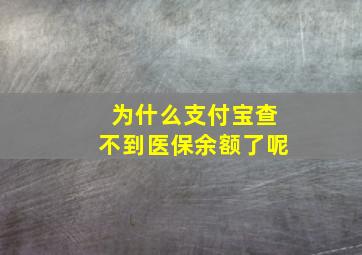 为什么支付宝查不到医保余额了呢