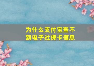 为什么支付宝查不到电子社保卡信息