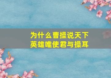 为什么曹操说天下英雄唯使君与操耳