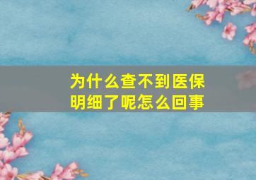 为什么查不到医保明细了呢怎么回事