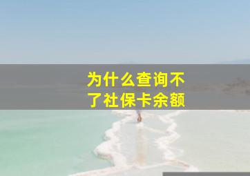 为什么查询不了社保卡余额