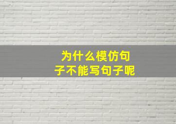 为什么模仿句子不能写句子呢