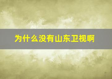 为什么没有山东卫视啊