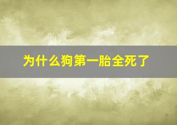 为什么狗第一胎全死了