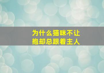 为什么猫咪不让抱却总跟着主人