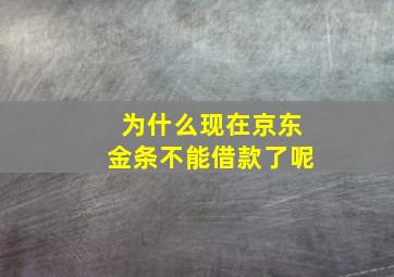 为什么现在京东金条不能借款了呢