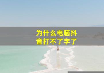 为什么电脑抖音打不了字了