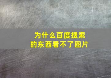 为什么百度搜索的东西看不了图片