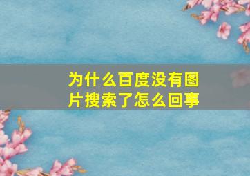 为什么百度没有图片搜索了怎么回事