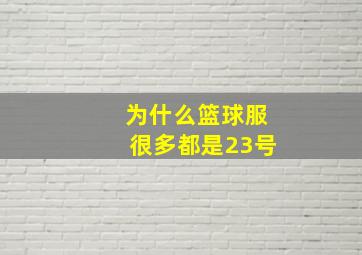 为什么篮球服很多都是23号