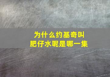 为什么约基奇叫肥仔水呢是哪一集