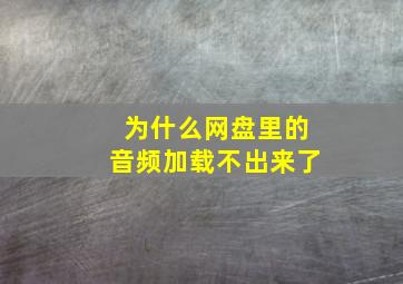 为什么网盘里的音频加载不出来了