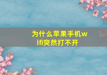 为什么苹果手机wifi突然打不开