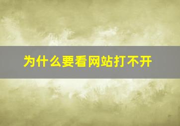 为什么要看网站打不开