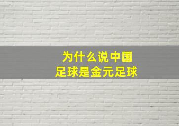 为什么说中国足球是金元足球