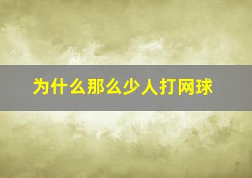 为什么那么少人打网球