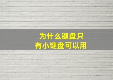 为什么键盘只有小键盘可以用