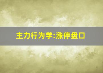 主力行为学:涨停盘口