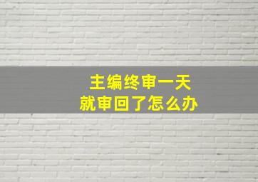 主编终审一天就审回了怎么办