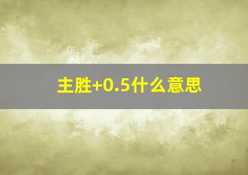 主胜+0.5什么意思