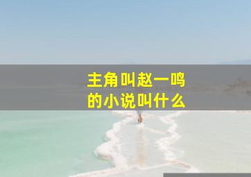 主角叫赵一鸣的小说叫什么