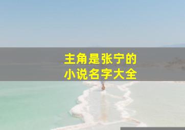 主角是张宁的小说名字大全