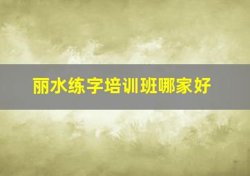 丽水练字培训班哪家好