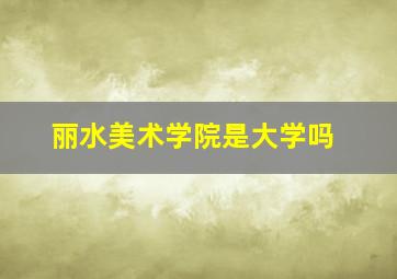 丽水美术学院是大学吗