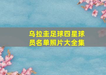 乌拉圭足球四星球员名单照片大全集