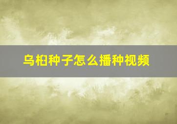 乌桕种子怎么播种视频