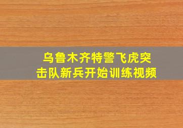 乌鲁木齐特警飞虎突击队新兵开始训练视频