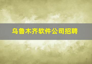 乌鲁木齐软件公司招聘