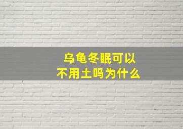 乌龟冬眠可以不用土吗为什么