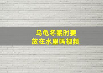 乌龟冬眠时要放在水里吗视频