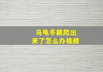 乌龟冬眠爬出来了怎么办视频