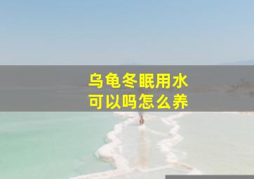 乌龟冬眠用水可以吗怎么养