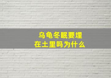 乌龟冬眠要埋在土里吗为什么