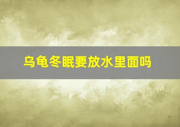 乌龟冬眠要放水里面吗