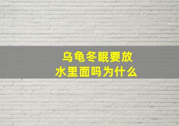 乌龟冬眠要放水里面吗为什么