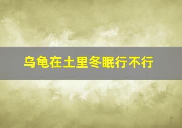 乌龟在土里冬眠行不行