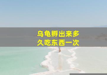 乌龟孵出来多久吃东西一次