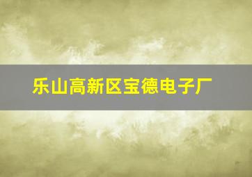 乐山高新区宝德电子厂