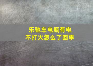 乐驰车电瓶有电不打火怎么了回事