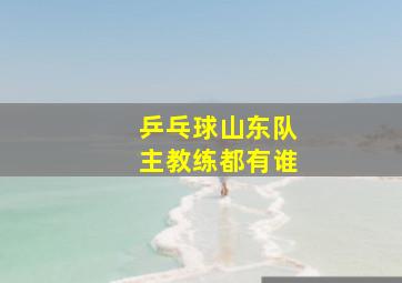 乒乓球山东队主教练都有谁