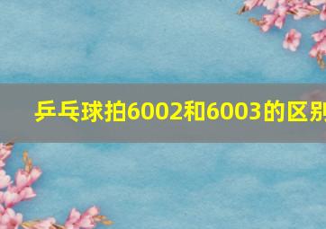 乒乓球拍6002和6003的区别