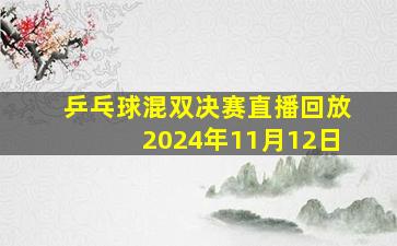 乒乓球混双决赛直播回放2024年11月12日