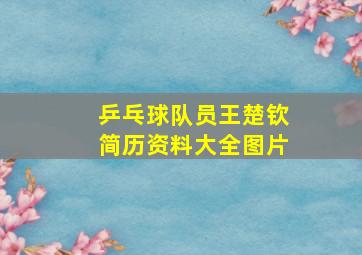 乒乓球队员王楚钦简历资料大全图片